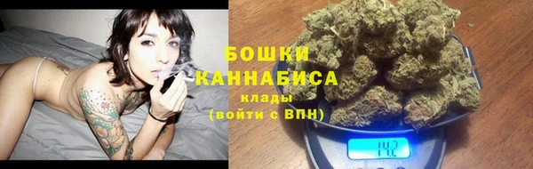 дмт Тавда
