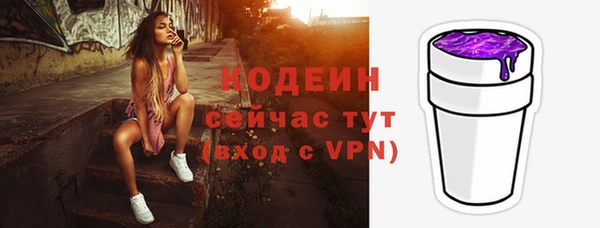 круглые Гусев