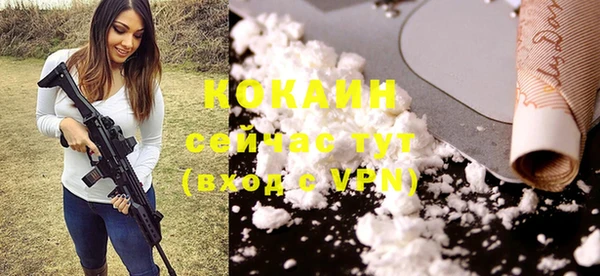 2c-b Горняк