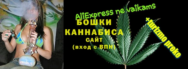 2c-b Горняк