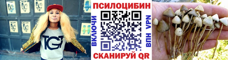 Галлюциногенные грибы MAGIC MUSHROOMS  Дигора 